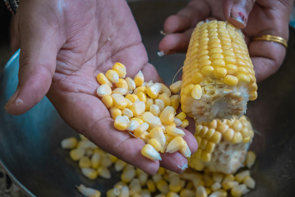 top corn exporters from pakistan