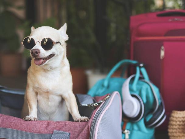 front pet carrier for small dogs