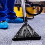 Professional Carpet Cleaning Denver, CO