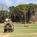 masai mara national park packages