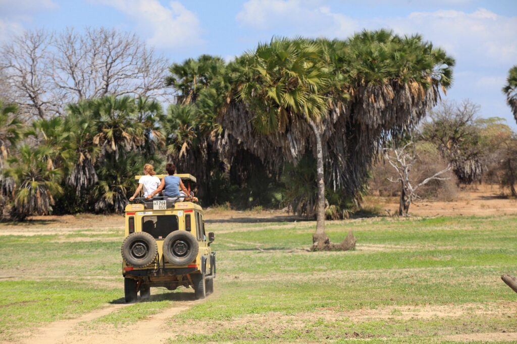 best time to visit tanzania for safari